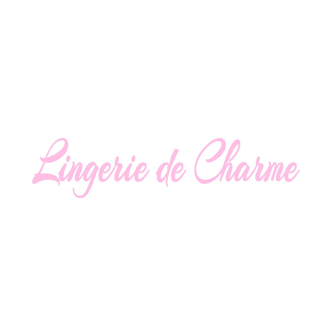 LINGERIE DE CHARME BRUERE-ALLICHAMPS